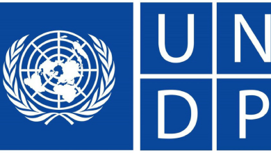 undp